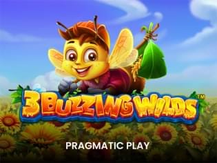 3 Buzzing Wilds screenshot