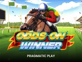 Odds On Winner screenshot
